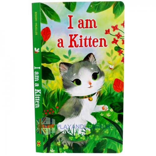I am a Kitten