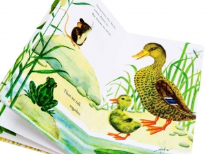 Animal Stories (5 golden board books)