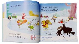 Crow in the Snow (Phonics Readers)