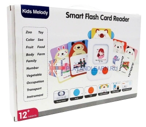 Smart Flash Card Reader
