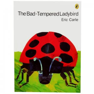 The Bad-Tempered Ladybird (soft cover)
